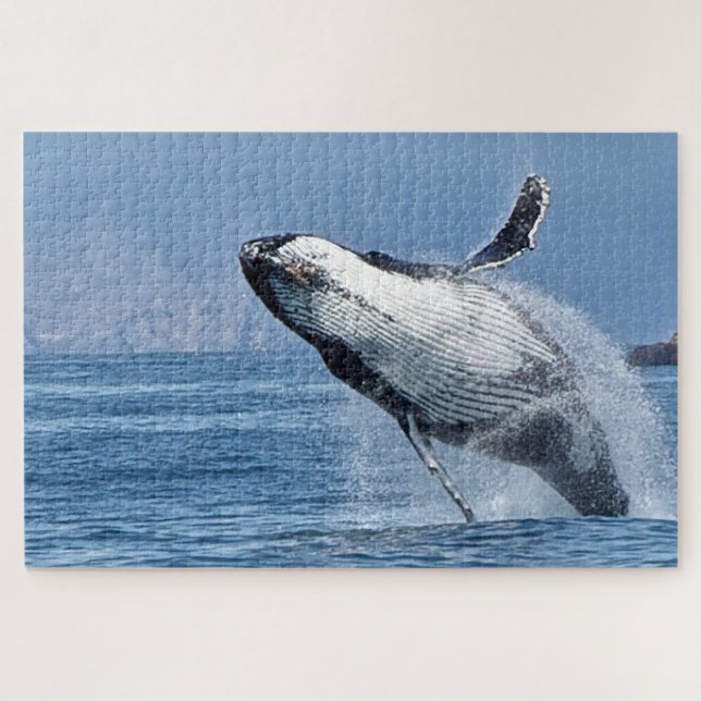 Puzzle Baleines à bosse de Jigsaw. (Horizontal)