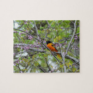 Puzzle Baltimore Oriole