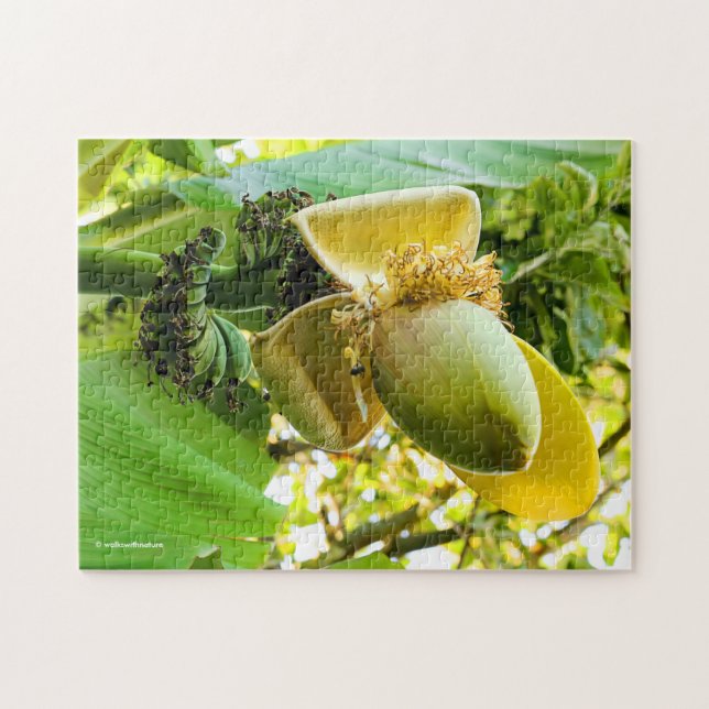 Puzzle Bananier aux fruits de banane (Horizontal)