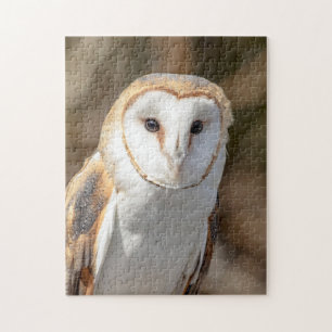 Puzzle Barn Owl