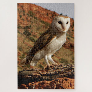 Puzzle Barn owl, Outback Australie