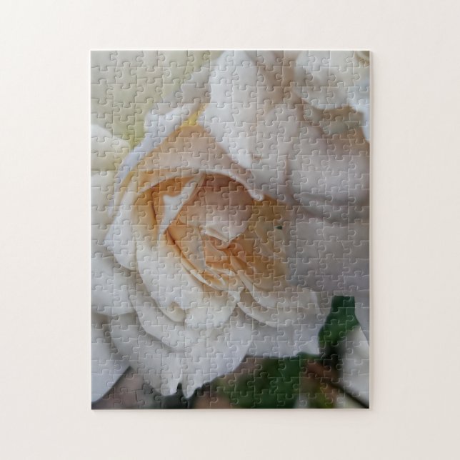 Puzzle Bashful Roses (Vertical)
