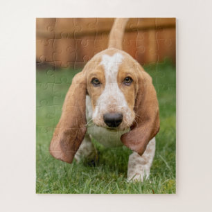 Puzzle Basset Hound chiot marchant