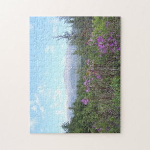Puzzle Bâti Katahdin et fleurs sauvages