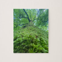 Puzzle Baum Moos