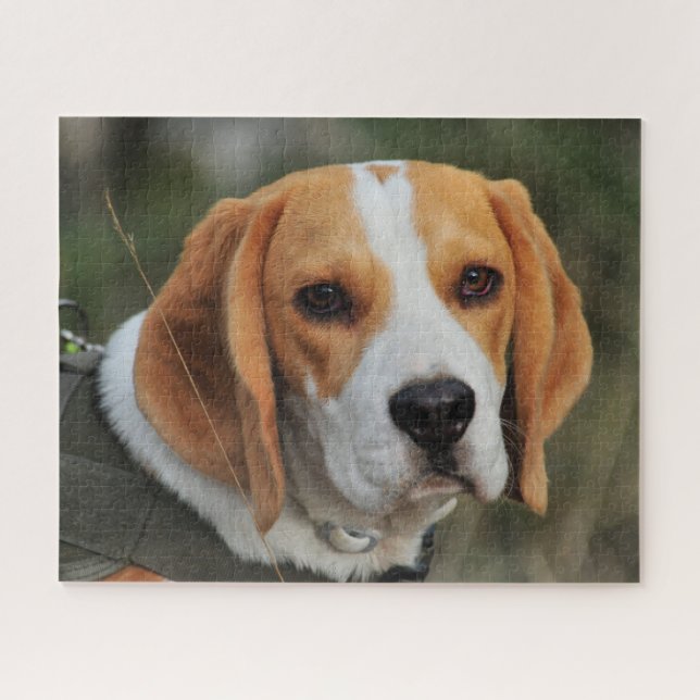 Puzzle Beagle Hound Dog (Horizontal)