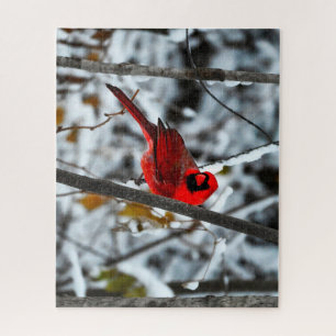 Puzzle Beau cardinal rouge vif dans la neige