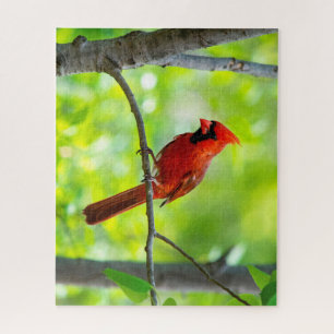 Puzzle Beau cardinal rouge vif dans un arbre