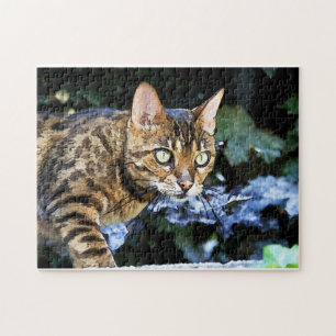 Puzzle Beau chat du Bengale