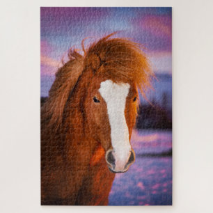 Puzzle Beau Chestnut Cheval Islandais Au Coucher Du Solei