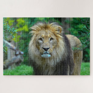 Puzzle Beau Lion Majestic dans la Jungle