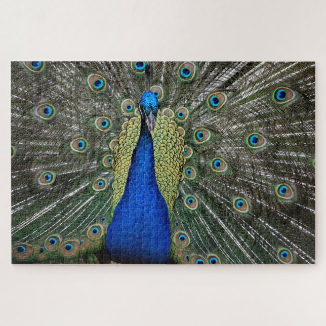 Puzzle Beau profil Peacock (Horizontal)