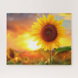 Puzzle beau tournesol au coucher du soleil