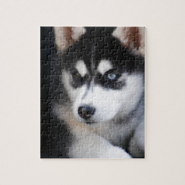 Puzzle Beau un chien de traîneau sibérien 2 d'oeil bleu (Vertical)