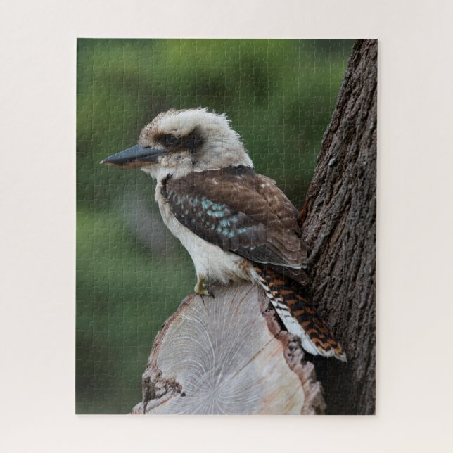 Puzzle Beautiful Kookaburra Bird Australie, 520 pièces (Vertical)