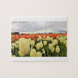 Puzzle Beautiful Tulip Field