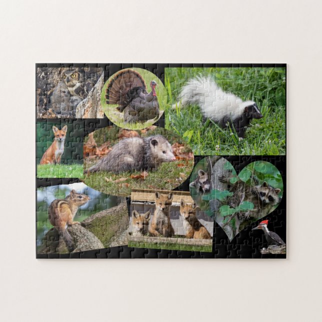 Puzzle Beaux Animaux Pour Les Enfants (Horizontal)