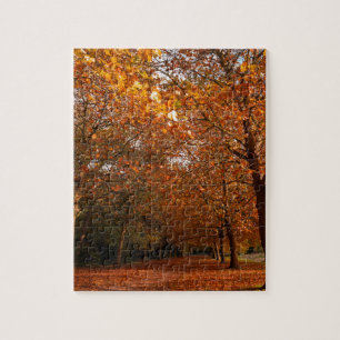 Puzzle Beaux arbres d'automne