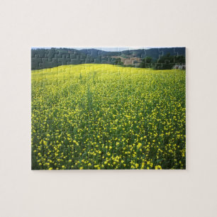 Puzzle Beaux champs couverts de fleurs jaunes de San