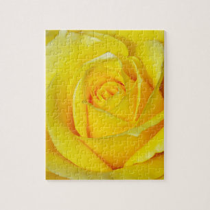 Puzzle Beaux pétales de rose jaunes
