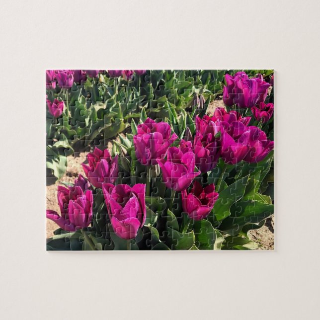 Puzzle Beaux Tulipes (Horizontal)