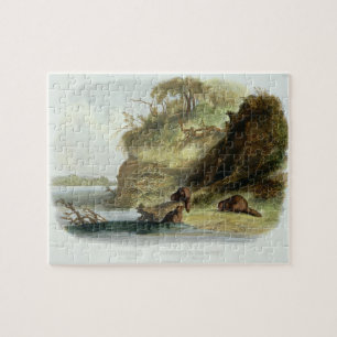 Puzzle Beaver la hutte sur le Missouri, plaquez 17 du