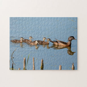 Puzzle Bébé Canards dans une rangée après Maman Jigsaw Pu