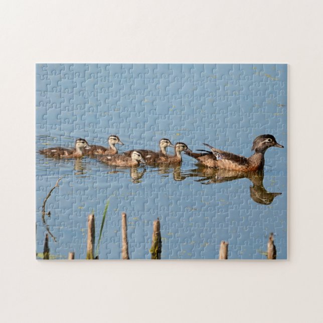 Puzzle Bébé Canards dans une rangée après Maman Jigsaw Pu (Horizontal)