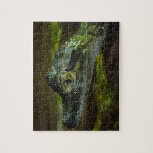 Puzzle Bébé crocodile nager dans l'eau