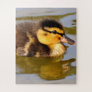 Puzzle Bébé Mallard Canard Baignade