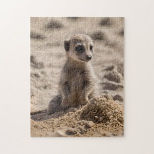 Puzzle Bébé Meerkat Jouant Dans Le Sable,