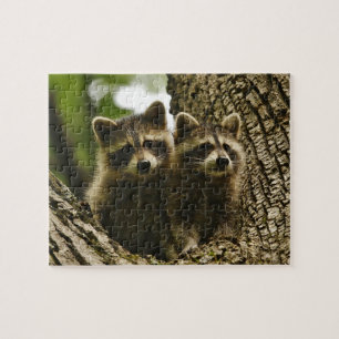 Puzzle Bébé mignon Raccoons
