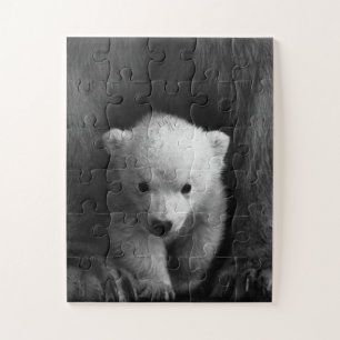 Puzzle Bébé Ours polaire avec Mère, Noir et Blanc
