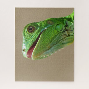 Puzzle Bébé vert Iguana