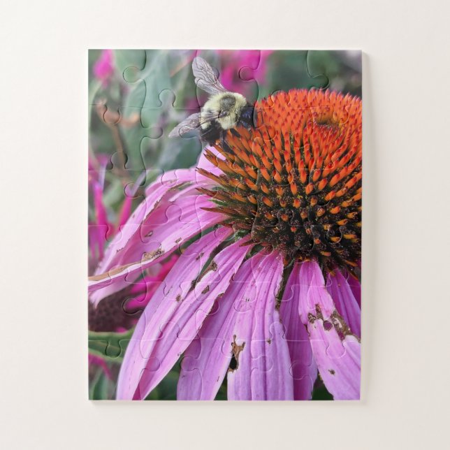 Puzzle Bee and Coneflower  (Vertical)