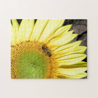 Bee On Sunflower Close Up Photographie