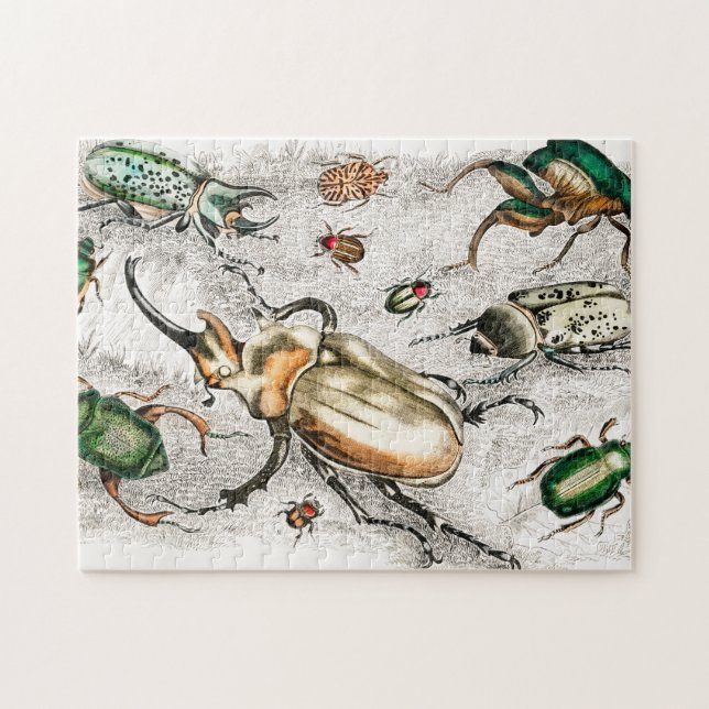 Puzzle Béetles Insectes Bugs (Horizontal)