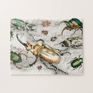 Puzzle Beetles Insects Bugs