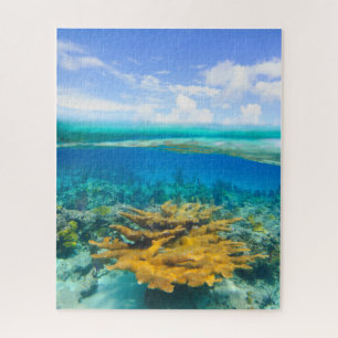 Puzzle Belle barrière de corail au-dessus et au-dessous 