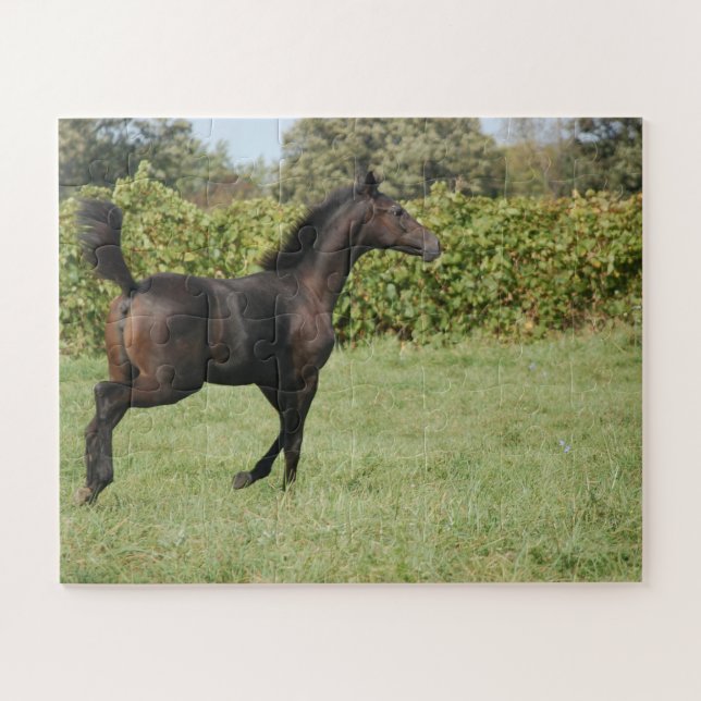 Puzzle Belle course de chevaux dans un champ (Horizontal)