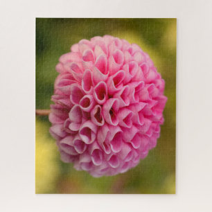 Puzzle Belle Fleur de Dahlia à Boule Rose