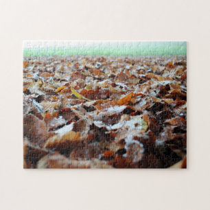 Puzzle Belle Frosty Automne Automne Feuilles Forêt Marche