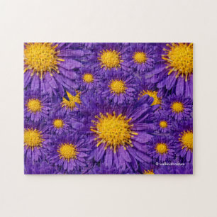 Puzzle Belle marguerite violette Michaelmas