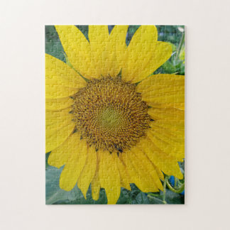 Puzzle Belle photo de tournesol
