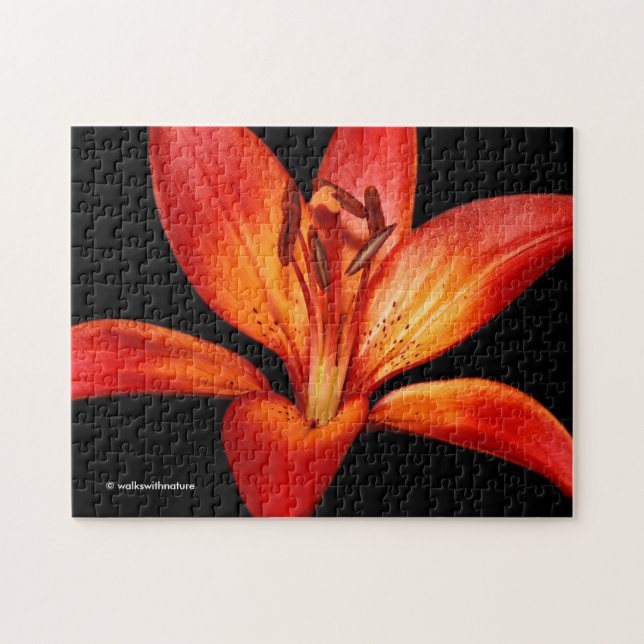Puzzle Belle Rouge Orange Asiatique Lily Gran Paradiso (Horizontal)