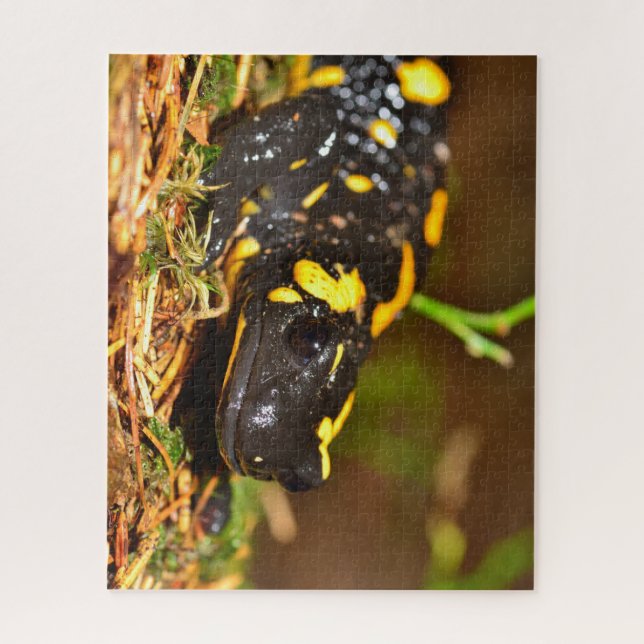 Puzzle Belle salamandre de feu (Vertical)