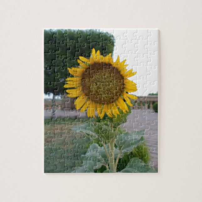 Puzzle Belle Tournesol Superbe (Vertical)
