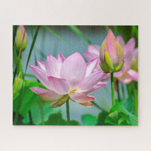 Puzzle Belles Fleurs de Lotus Rose