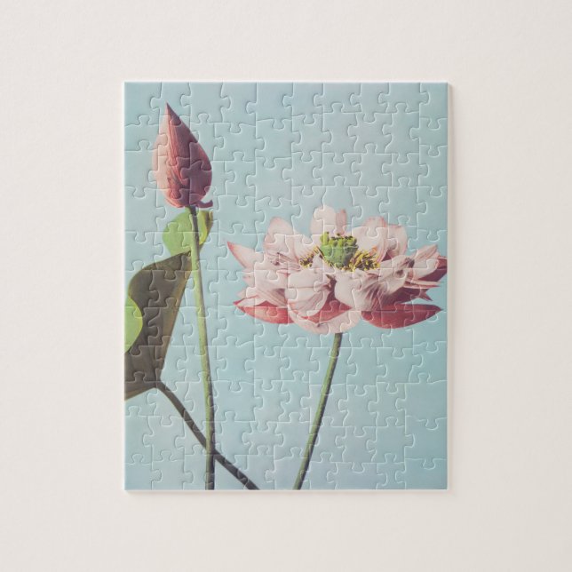 Puzzle Belles impressions photomécaniques de fleurs Lotus (Vertical)