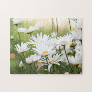 Puzzle Belles marguerites blanches Fleurs en champ vert